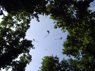 Ontmoet kunstenaars van wereldfaam langs de Vecht